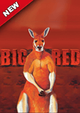 Scores Casino