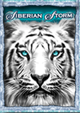 Scores Casino