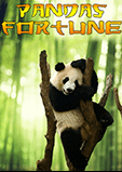 Scores Casino